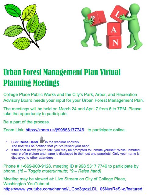 Urban Forestry Plan 